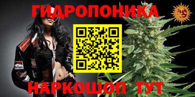 spice Гусев