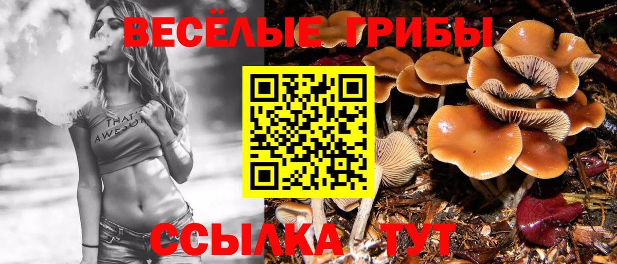 Коряжма  Галлюциногенные грибы Psilocybe  Галлюциногенные грибы мухоморы  Вход с VPN 