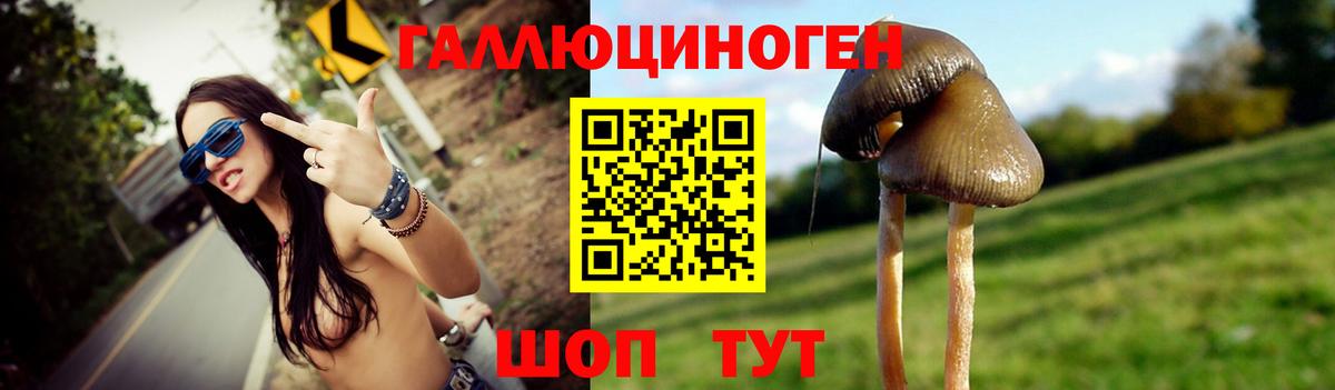 Псилоцибиновые грибы мухоморы Коряжма